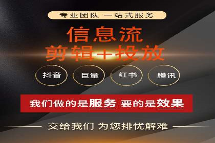 竞价广告与自然搜索的结合策略：XX网站的案例分析